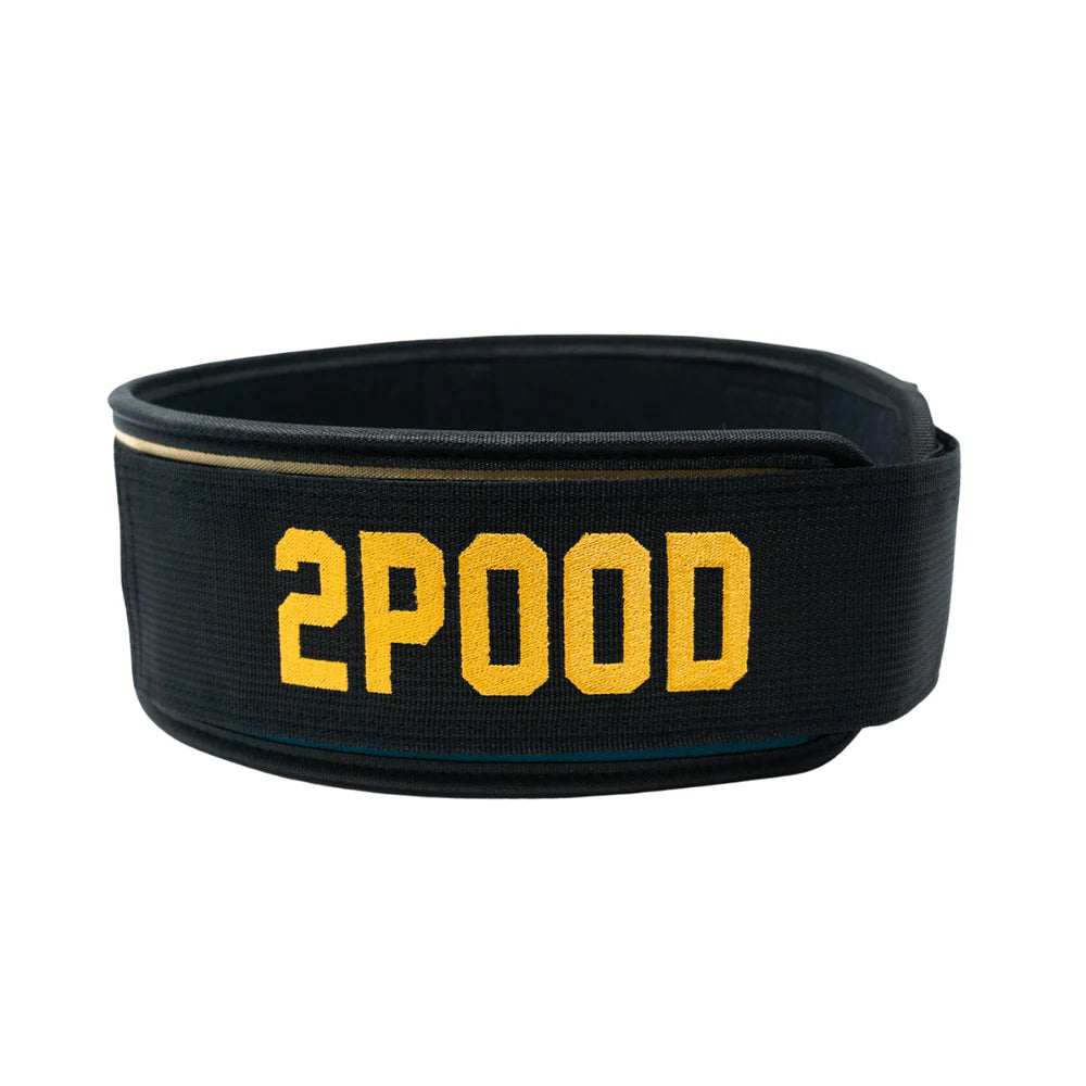 Still I Rise by Fee Saghafi 4" Weightlifting Belt