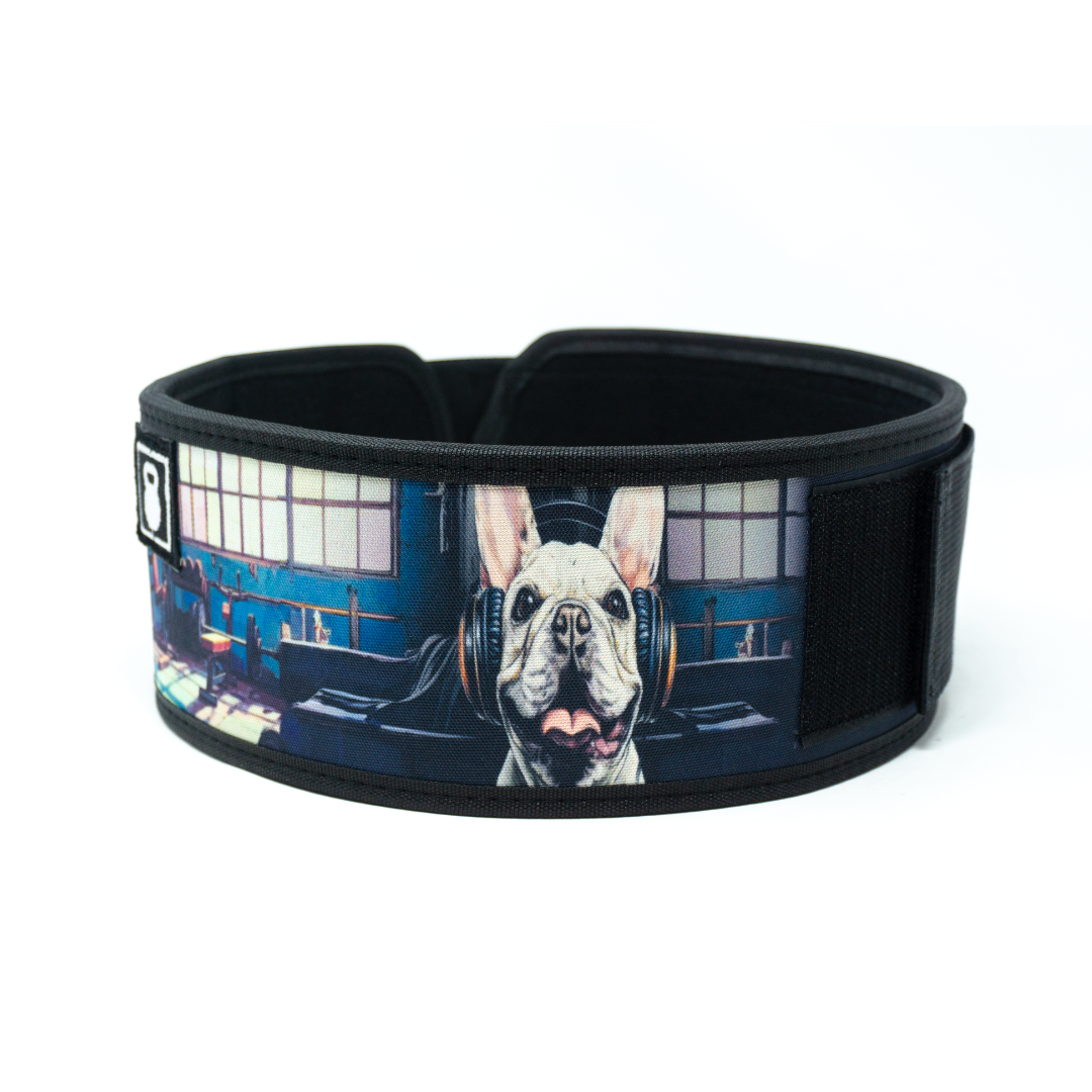 French Bulldog 4" Weightlifting Belt
