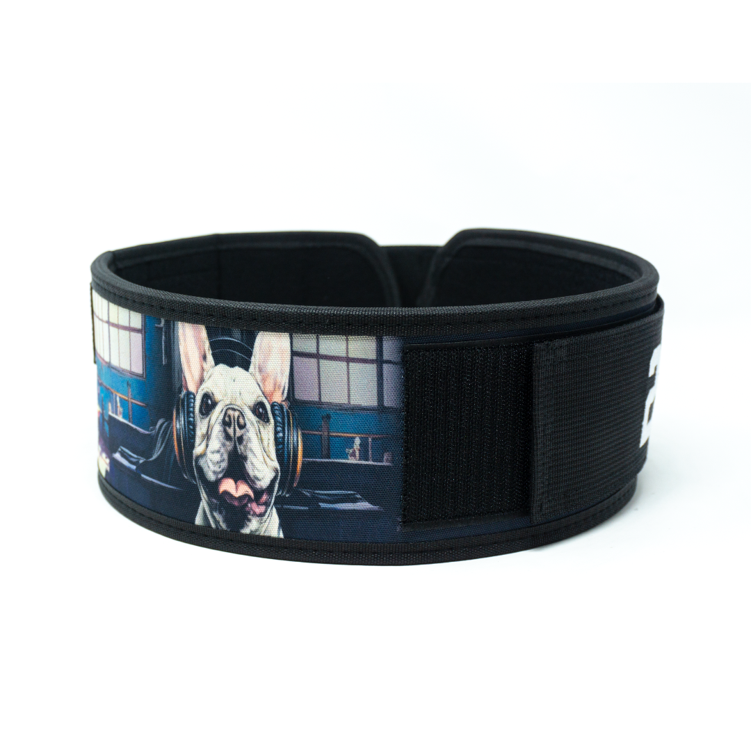 French Bulldog 4" Weightlifting Belt
