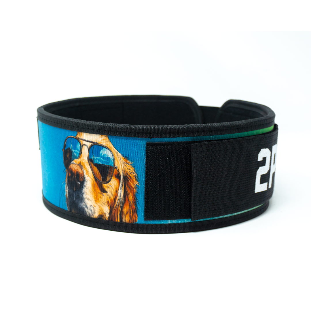 Golden Retriever 4" Weightlifting Belt