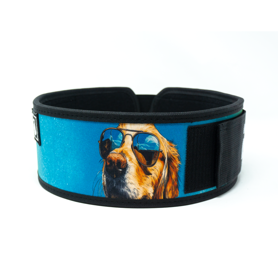 Golden Retriever 4" Weightlifting Belt