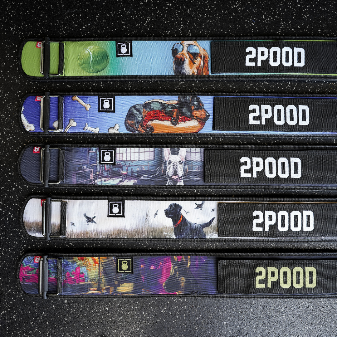 French Bulldog 4" Weightlifting Belt