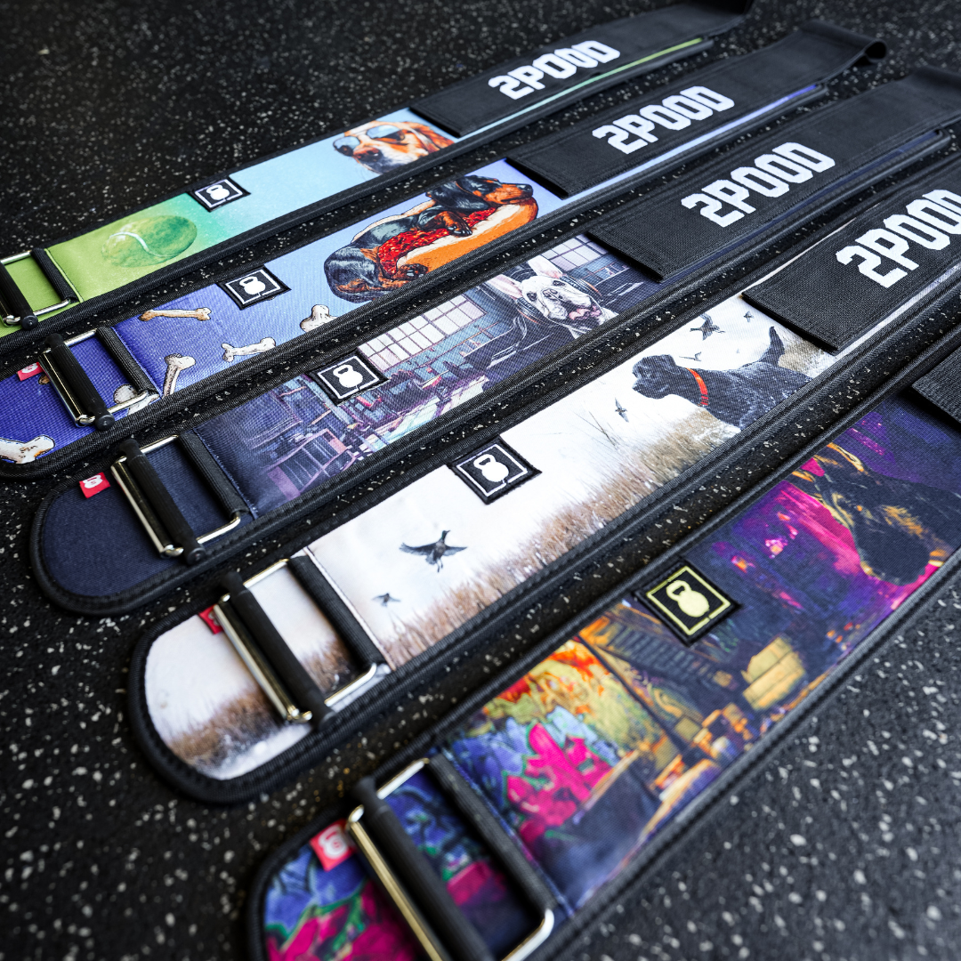 Dachshund 4" Weightlifting Belt