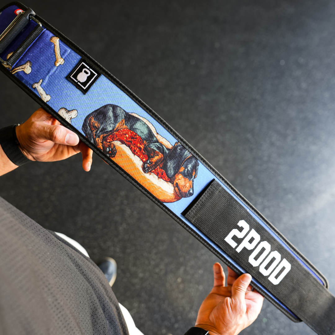 Dachshund 4" Weightlifting Belt