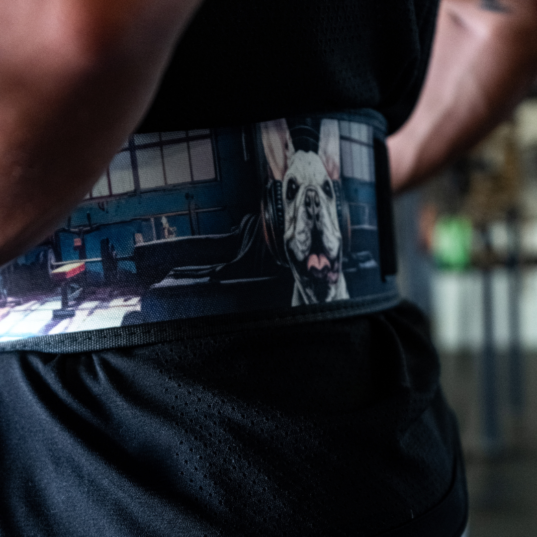 French Bulldog 4" Weightlifting Belt