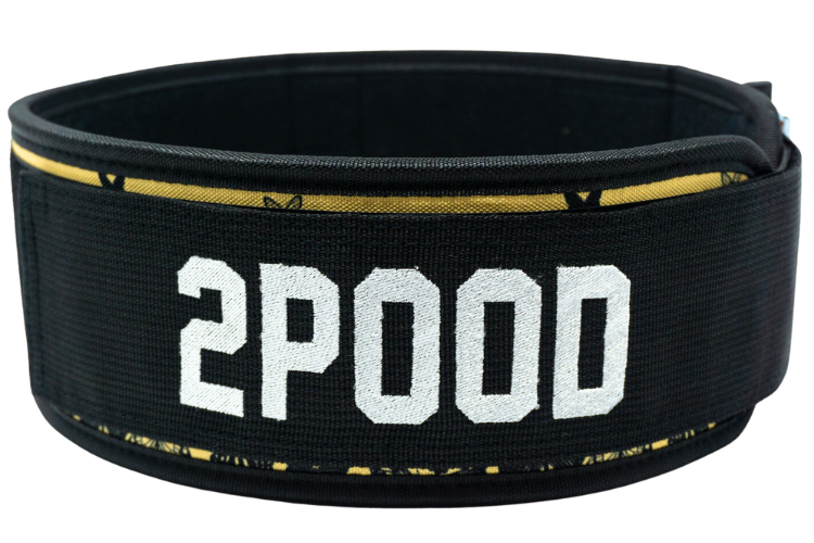 Metamorphosis 4&quot; Weightlifting Belt - 2POOD